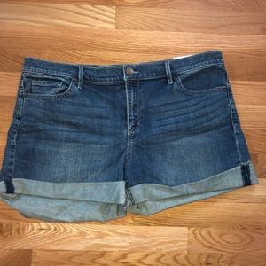 Brand New Loft Jean Shorts Size 12